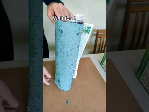 🗺️ Please Don&#039;t Do This! 😭 || Ravensburger Jigsaw Puzzle