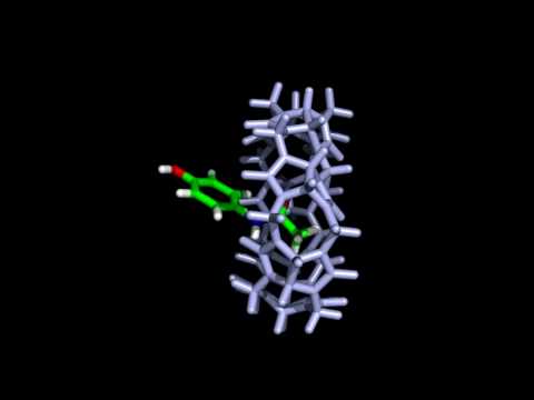 Molecular modelling of paracetamol and cucurbit[7]uril